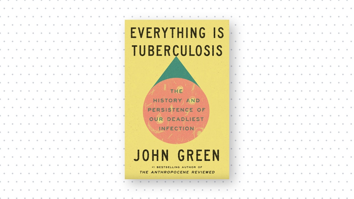 Everything Is Tuberculosis Book Cover